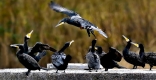 []7ȸ ȯ  û  ȸ