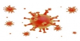 [ϵû]ȸ Ÿα 2ܰ ݻ 